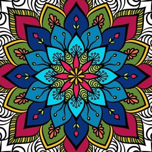 Meet your Posher, Leyla